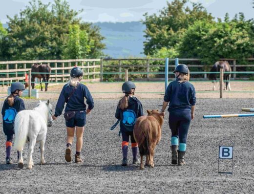 HorseWorld Discovery