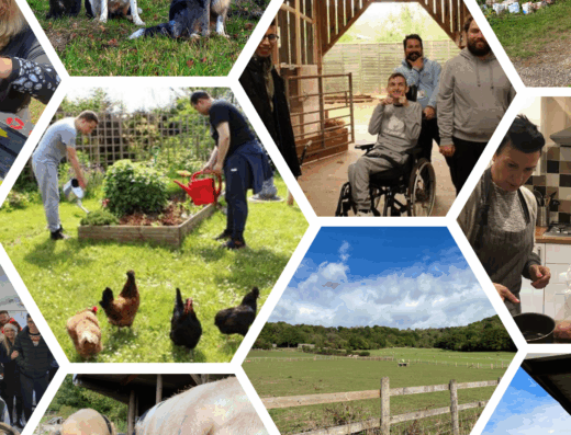 New Chapters Support and Wellbeing